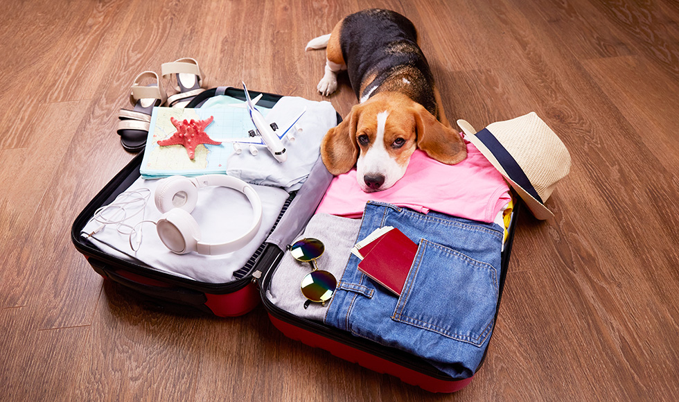 10 лайфхаков, которые помогут собрать чемодан в туристическую поездку - информационная статья